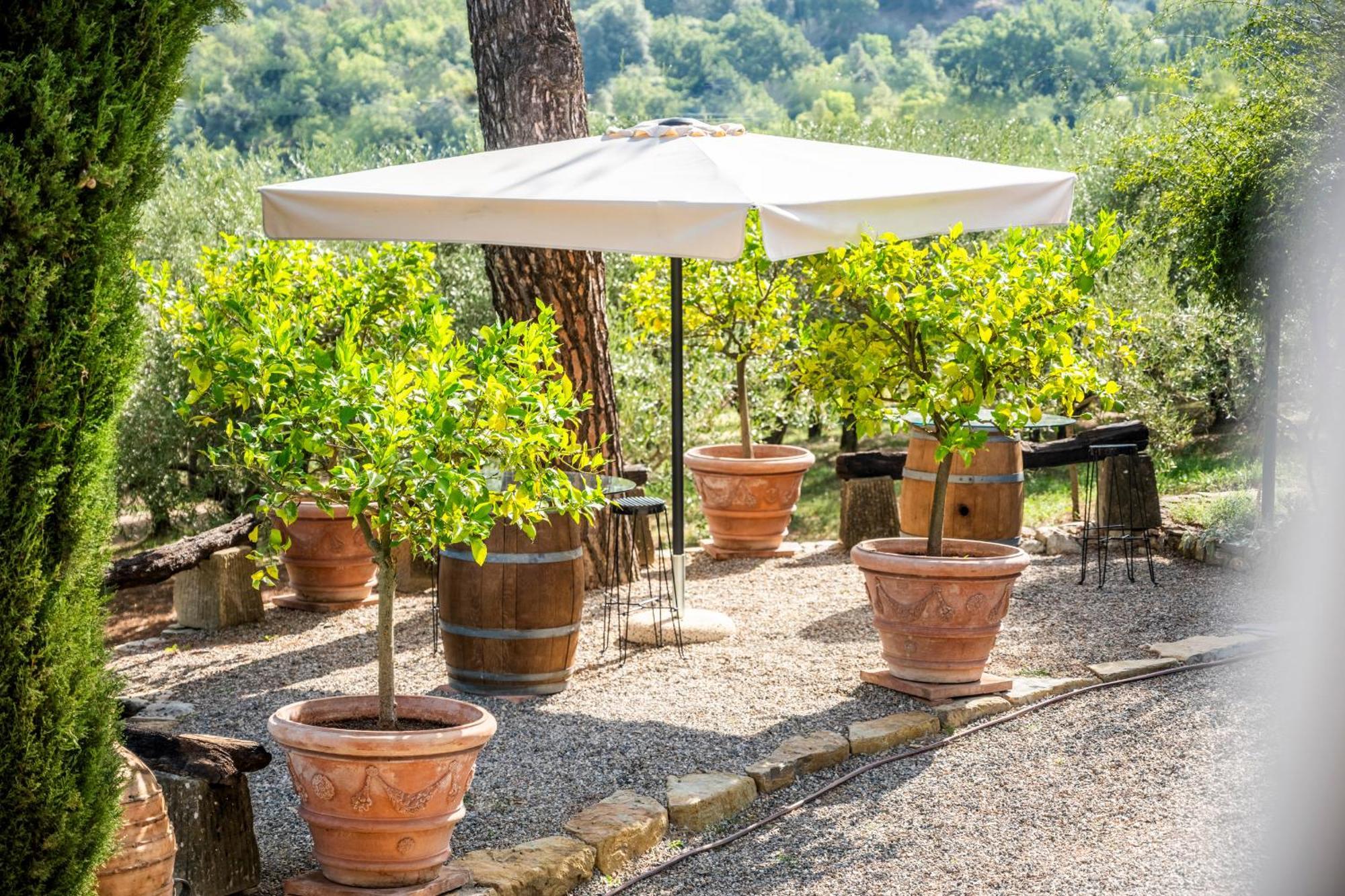 Savignola Paolina Farm stay *