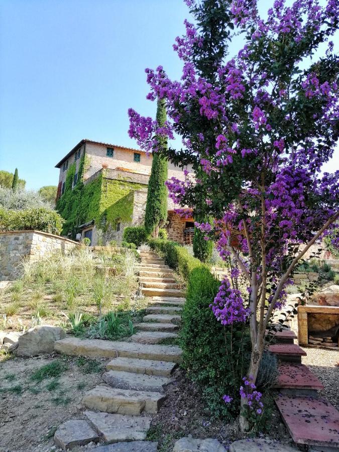 Farm stay Savignola Paolina Greve in Chianti